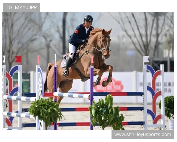 瑞士青少年马术选手在2024年全国青少年马术锦标赛中表现出色,获得多项荣誉。 瑞士青少年马术选手在2024年全国青少年马术锦标赛中表现出色,获得多项荣誉。